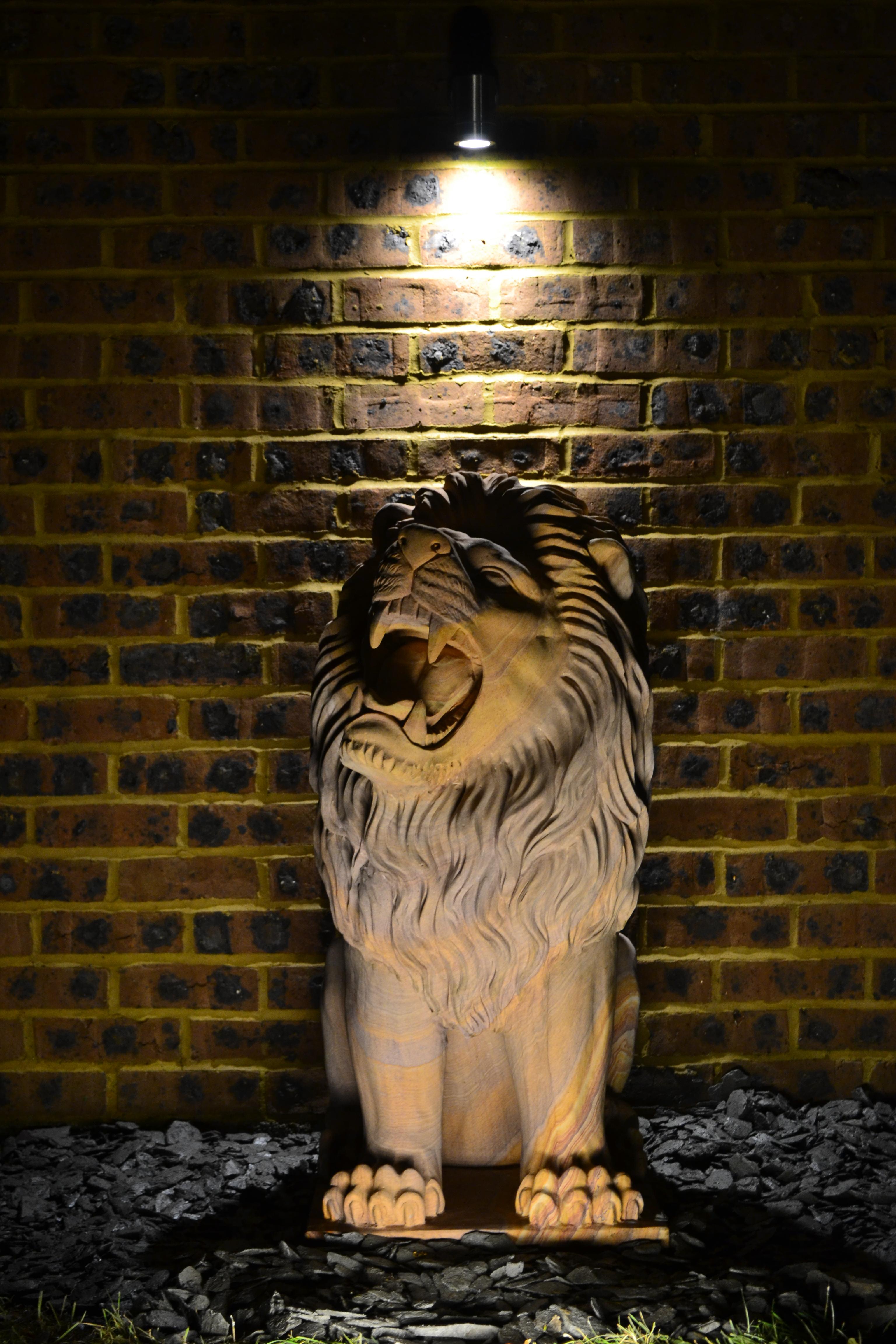 The Lion
